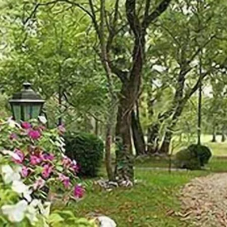 Chateau De Larroque Bed & Breakfast