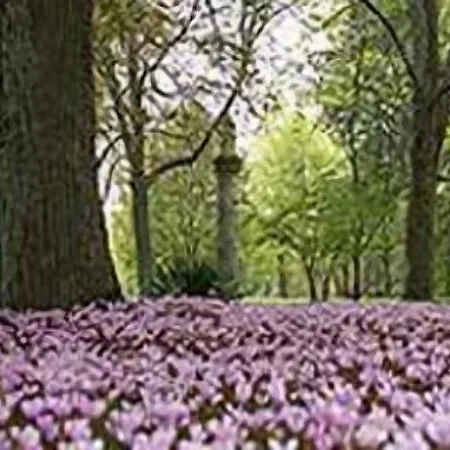 Bed & Breakfast Chateau De Larroque 3*