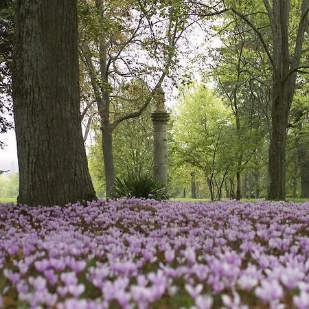 Chateau De Larroque Bed & Breakfast