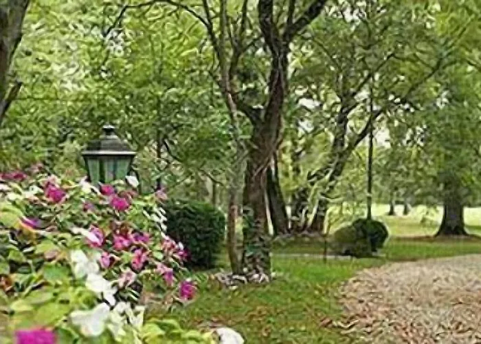 Chateau De Larroque ベッド・アンド・ブレックファスト