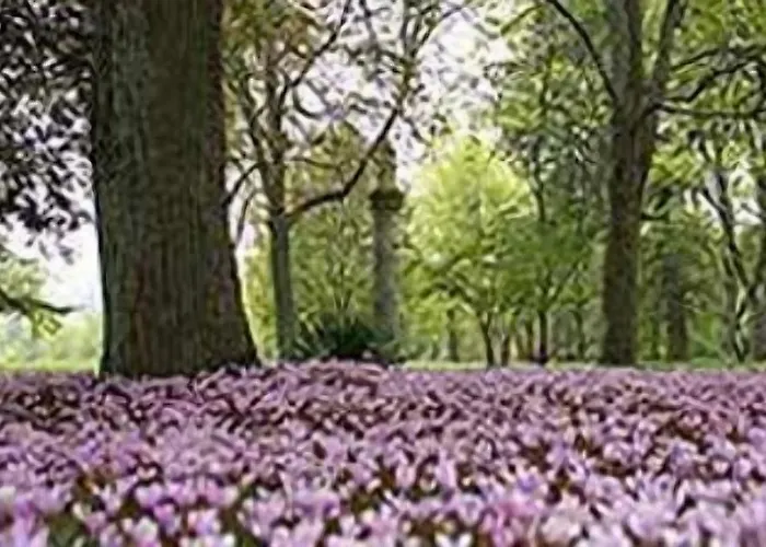 ベッド・アンド・ブレックファスト Chateau De Larroque 3*