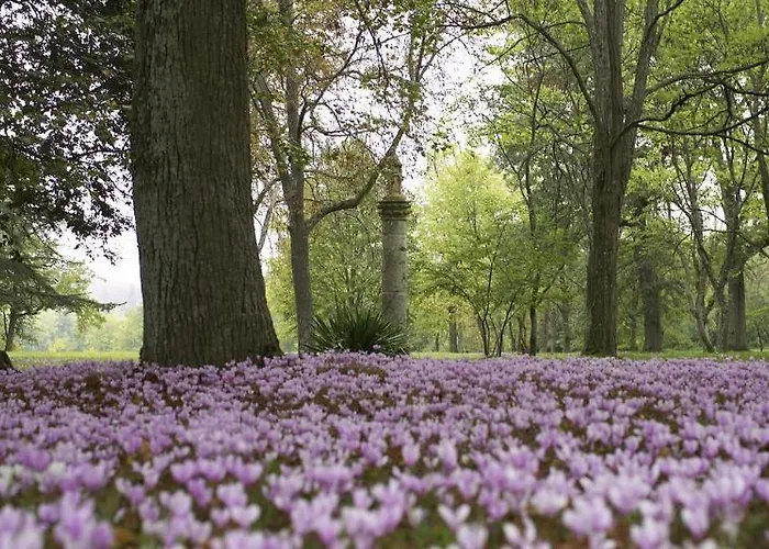 Chateau De Larroque ベッド・アンド・ブレックファスト