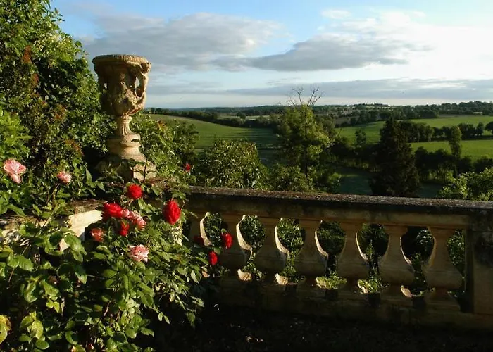 Chateau De Larroque ベッド・アンド・ブレックファスト 3*